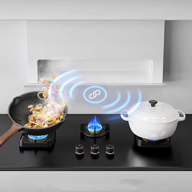 Встраиваемая газовая плита с 3 – обзор и цена Kitchen Appliances Luxury